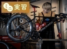 【夜間・少人数制】ミニ体験「スポーツバイクに触れてみよう!」